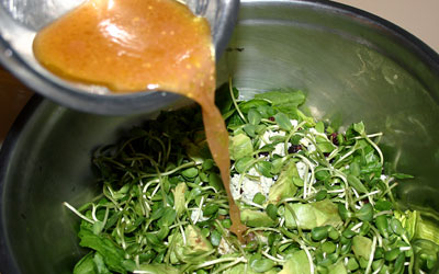 Walnut Cranberry Spinach Salad Step 6 - Mostly Meatless Almost Vegetarian Recipes