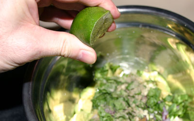 Guacamole Step 6 - Mostly Meatless Almost Vegetarian Recipes